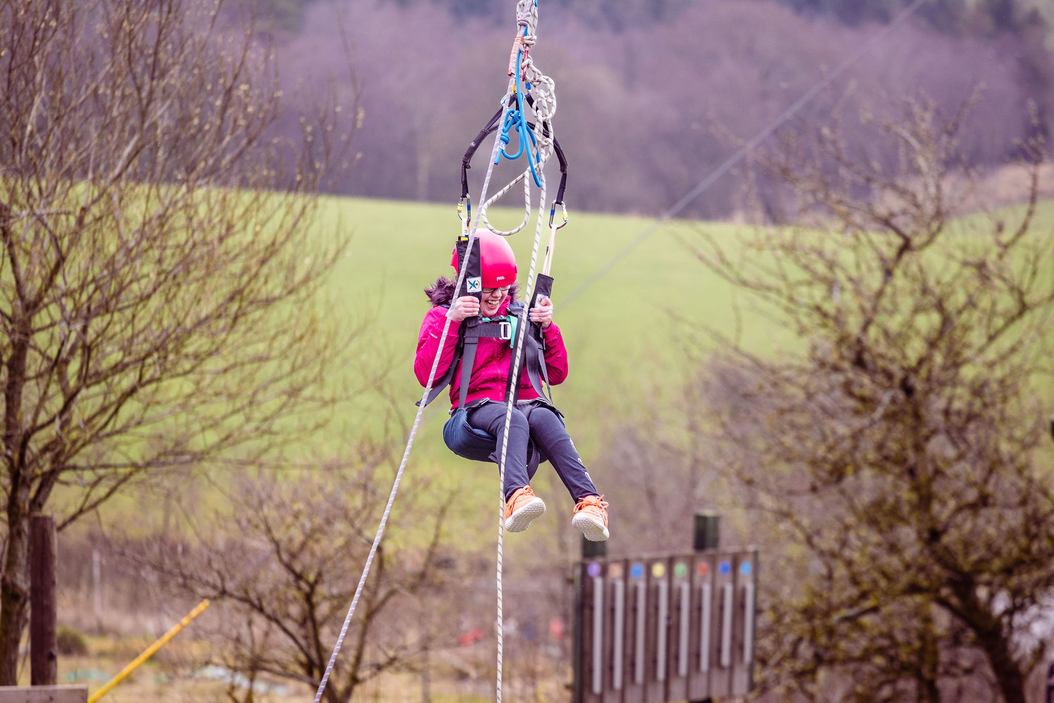 Zip wire at Bendrigg